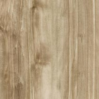 River Birch