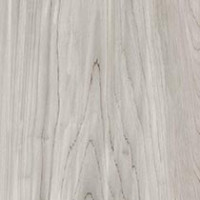 Drift Cedar