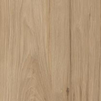 Harbor Hickory