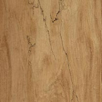 Louisiana Pecan