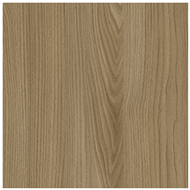 Acorn Velvet Elm