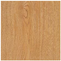 Solar Oak