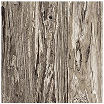 Weathered Olive