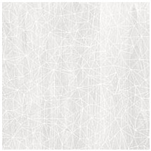 Snow Geo