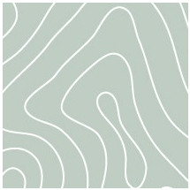 Topografik Moss