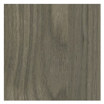 Enticed Black Oak