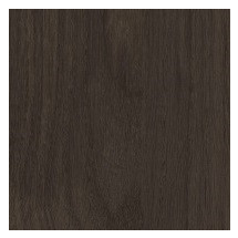 Enchanted Black Oak