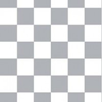 Checkered Slacks