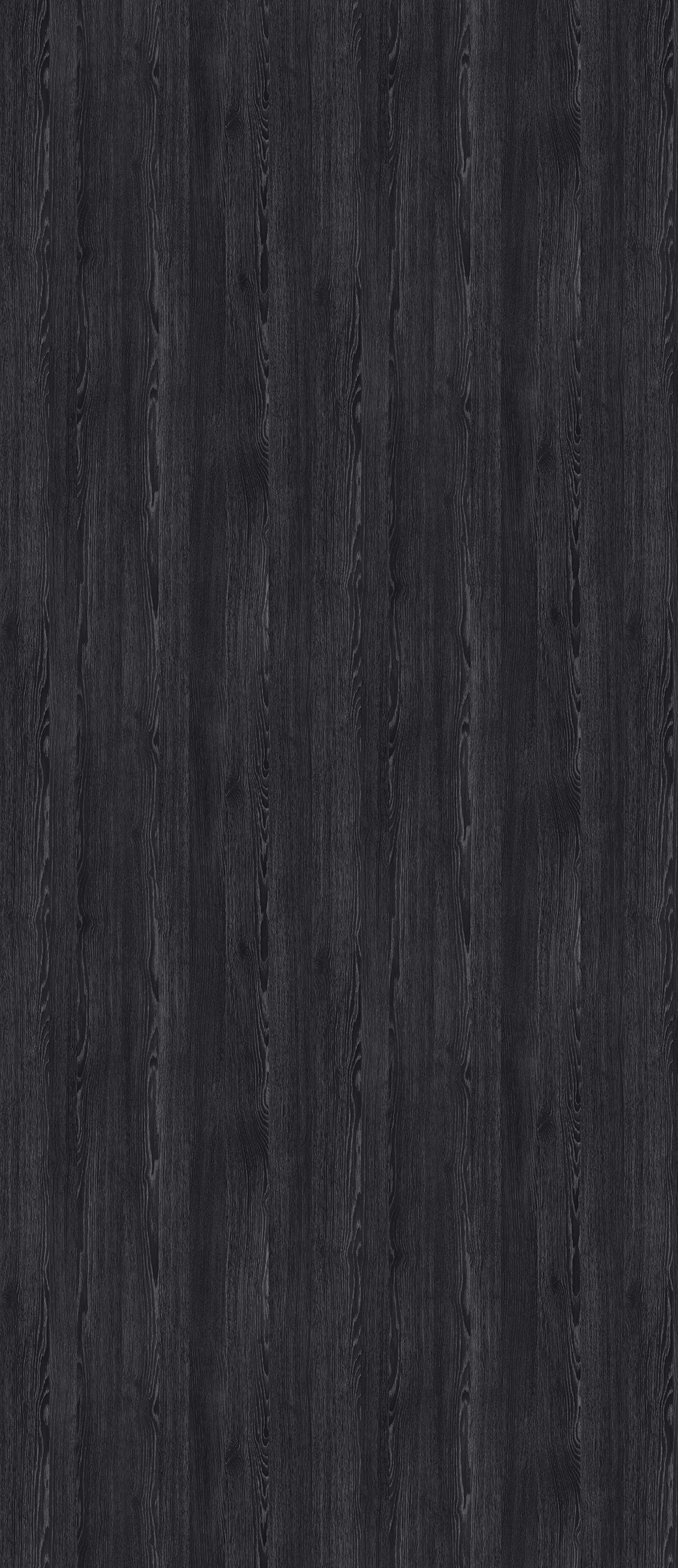 Black Oak