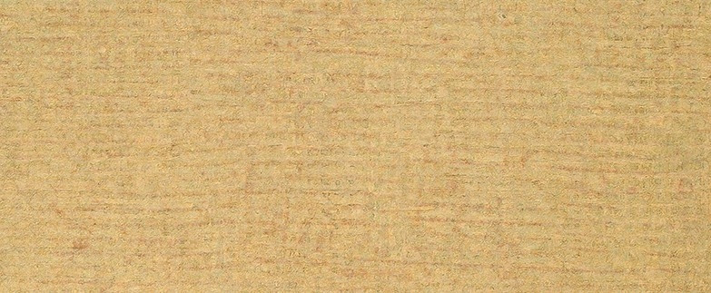 Wired Gold P347 Laminate Countertops