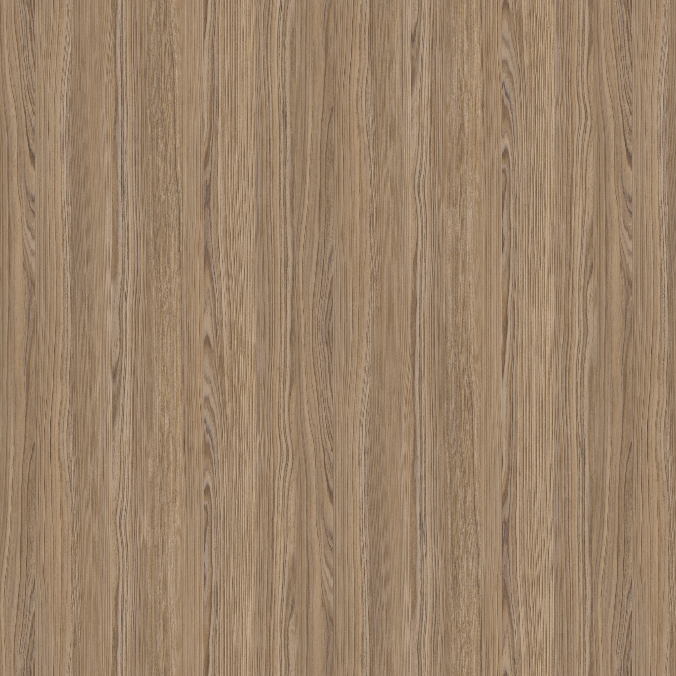 Plus Cypress Cinnamon