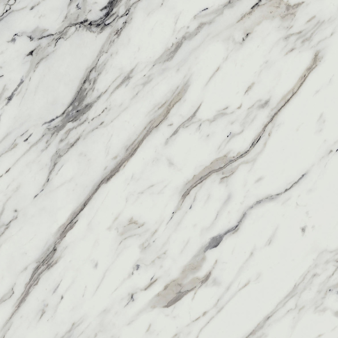 Sleek Calcutta Marble