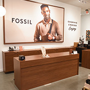 Mid-Century Modern - Fossil