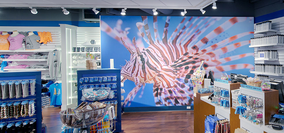 Corpus Aquarium Gift Shop | WilsonartXYou