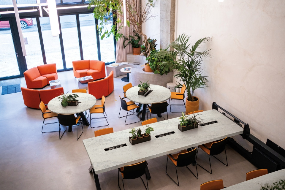 Dynamic Design for Modern Spaces