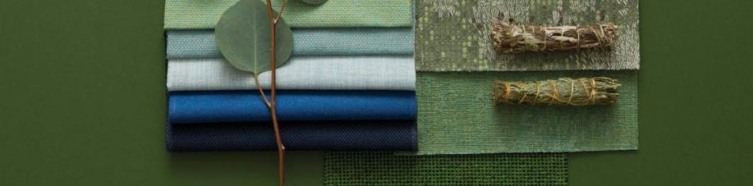 Green and Blue Work in Wellness